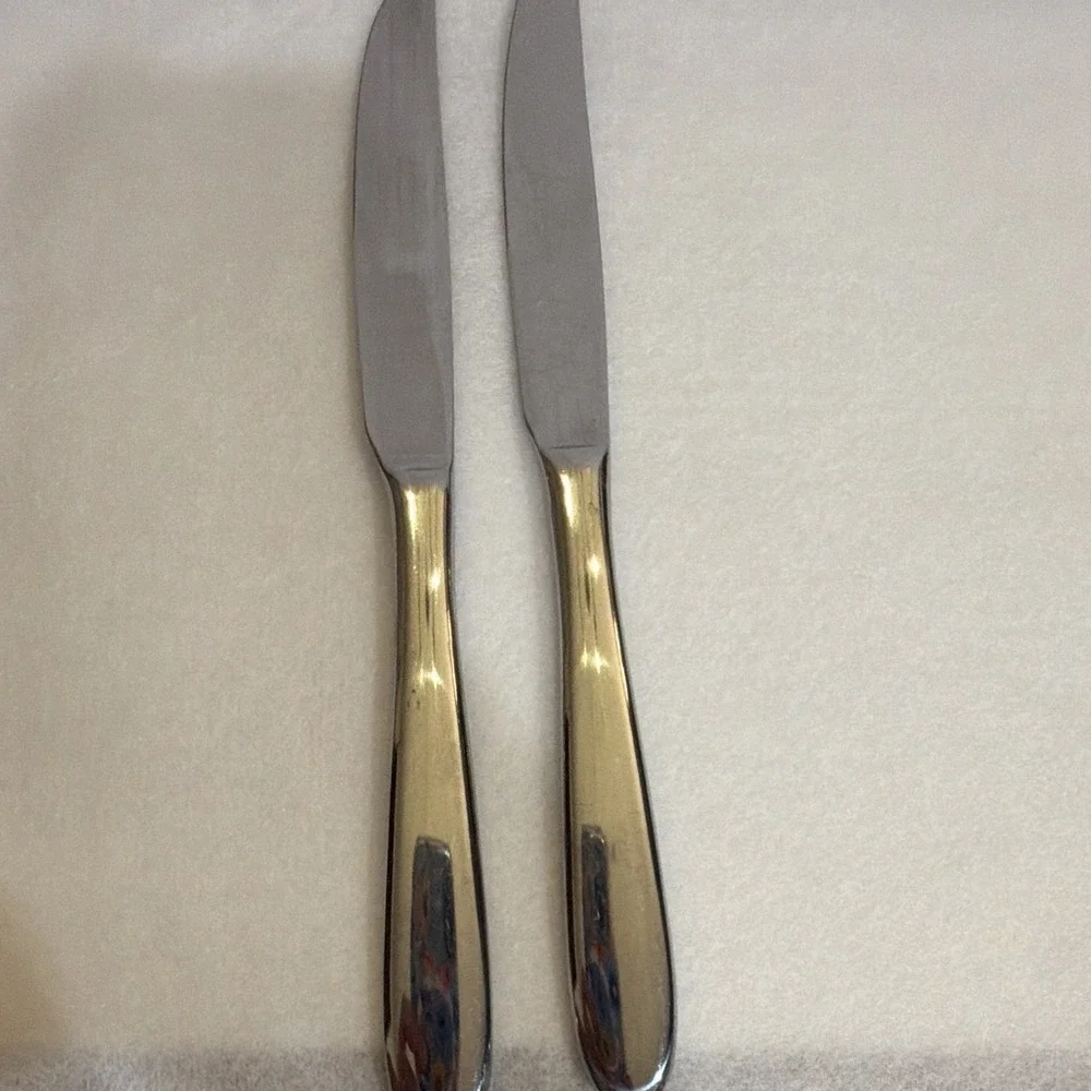 Oneida Stainless Steel Dinner Knives Set of 2 Silver Solid 9 1/2 in